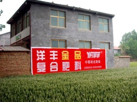 禄丰如何让墙体广告展现最大化效果