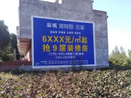 禄丰品牌公司青睐的墙体广告