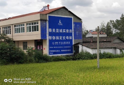 禄丰决定墙体广告价格的因素有哪些?
