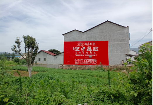 禄丰做墙体广告的意义