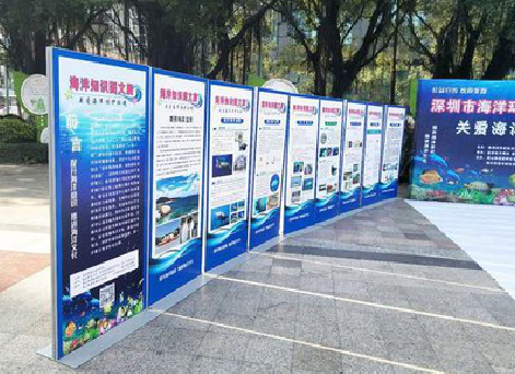 禄丰KT板的种类和知识。